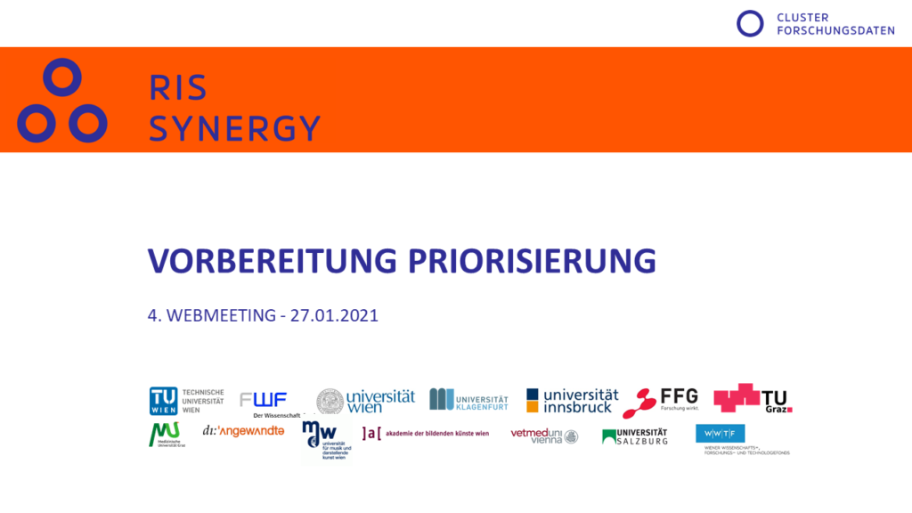 RIS Synergy Meeting Banner